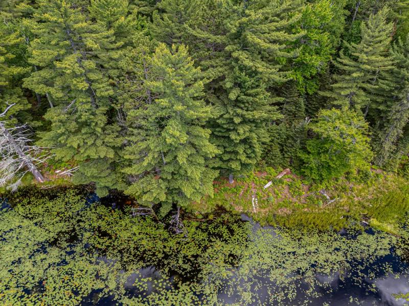 Lot 4 Off Watersmeet Lake Rd, , Eagle River,  WI 54521