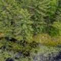 Lot 4 Off Watersmeet Lake Rd, , Eagle River,  WI 54521
