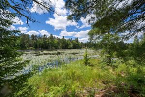 Lot 4 Off Watersmeet Lake Rd, , Eagle River,  WI 54521