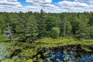 Lot 4 Off Watersmeet Lake Rd, , Eagle River,  WI 54521