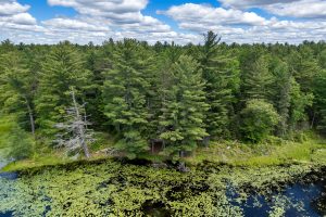 Lot 4 Off Watersmeet Lake Rd, , Eagle River,  WI 54521