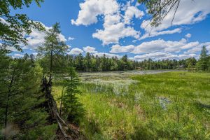 Lot 4 Off Watersmeet Lake Rd, , Eagle River,  WI 54521