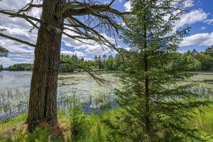 Lot 4 Off Watersmeet Lake Rd, , Eagle River,  WI 54521