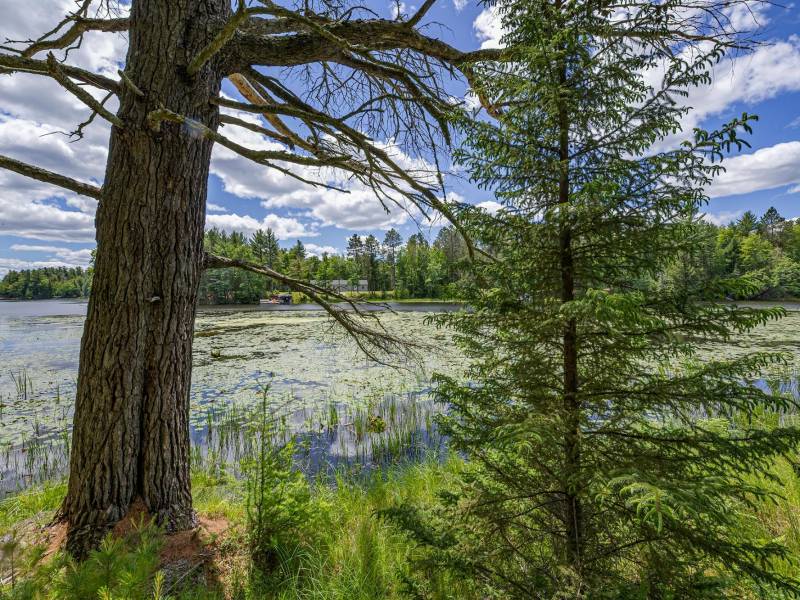 Lot 4 Off Watersmeet Lake Rd, , Eagle River,  WI 54521