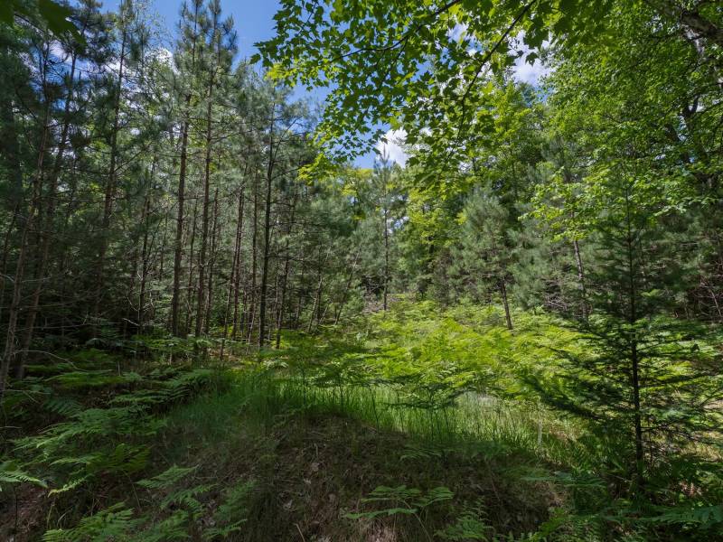 Lot 4 Off Watersmeet Lake Rd, , Eagle River,  WI 54521