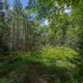 Lot 4 Off Watersmeet Lake Rd, , Eagle River,  WI 54521
