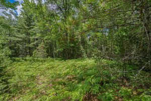 Lot 4 Off Watersmeet Lake Rd, , Eagle River,  WI 54521