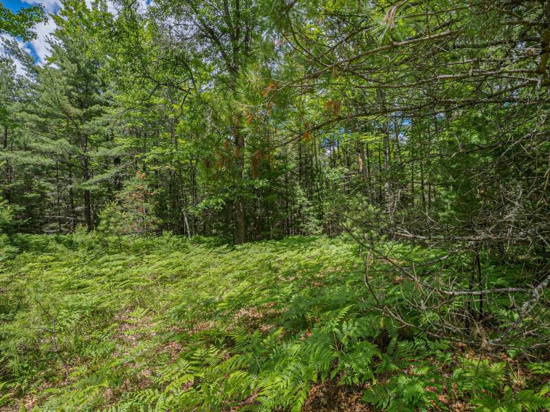 Lot 4 Off Watersmeet Lake Rd, , Eagle River,  WI 54521