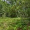 Lot 4 Off Watersmeet Lake Rd, , Eagle River,  WI 54521
