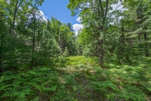 Lot 4 Off Watersmeet Lake Rd, , Eagle River,  WI 54521