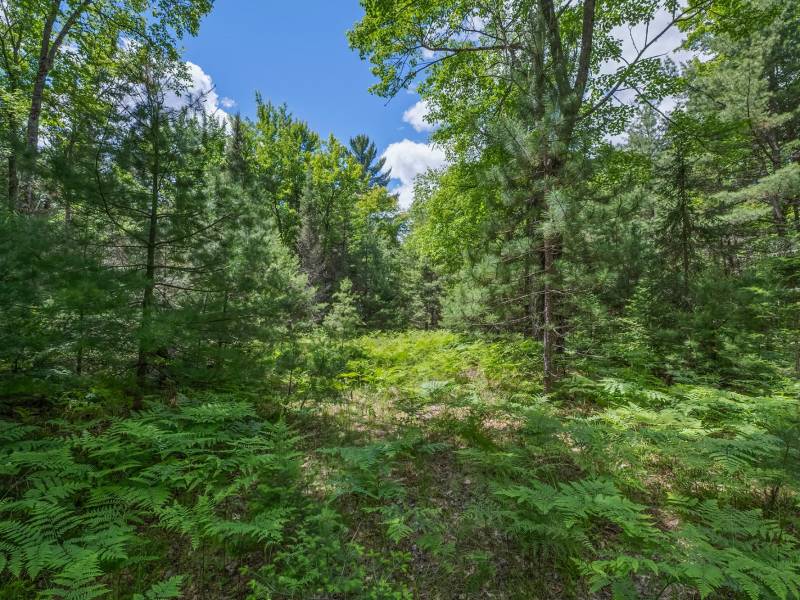 Lot 4 Off Watersmeet Lake Rd, , Eagle River,  WI 54521