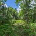 Lot 4 Off Watersmeet Lake Rd, , Eagle River,  WI 54521