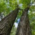 Lot 4 Off Watersmeet Lake Rd, , Eagle River,  WI 54521