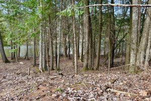 Lot 6 Riverdale Ln, , Eagle River,  WI 54521