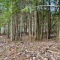 Lot 6 Riverdale Ln, , Eagle River,  WI 54521