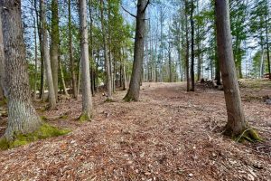 Lot 6 Riverdale Ln, , Eagle River,  WI 54521