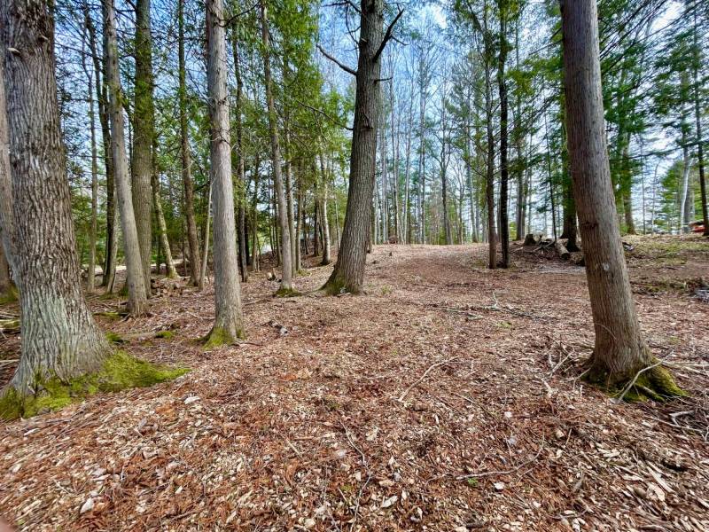 Lot 6 Riverdale Ln, , Eagle River,  WI 54521