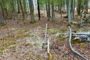 Lot 6 Riverdale Ln, , Eagle River,  WI 54521