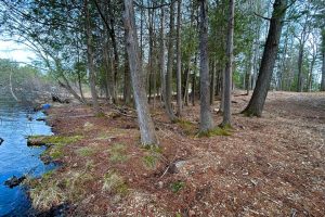 Lot 6 Riverdale Ln, , Eagle River,  WI 54521