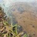 Lot 6 Riverdale Ln, , Eagle River,  WI 54521