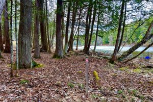 Lot 6 Riverdale Ln, , Eagle River,  WI 54521