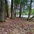 Lot 6 Riverdale Ln, , Eagle River,  WI 54521