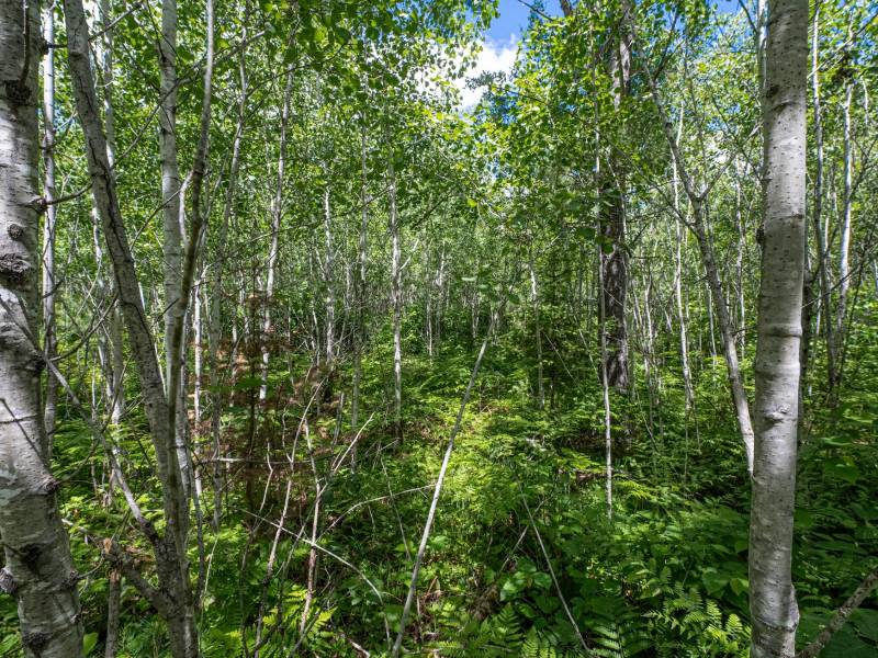 Lot 7 Off Deerskin Rd, , Eagle River,  WI 54521