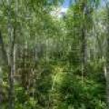 Lot 7 Off Deerskin Rd, , Eagle River,  WI 54521