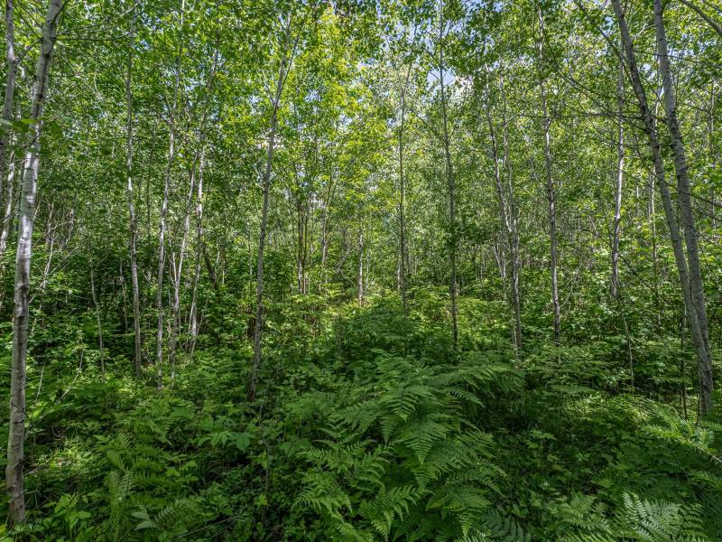 Lot 7 Off Deerskin Rd, , Eagle River,  WI 54521