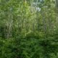 Lot 7 Off Deerskin Rd, , Eagle River,  WI 54521