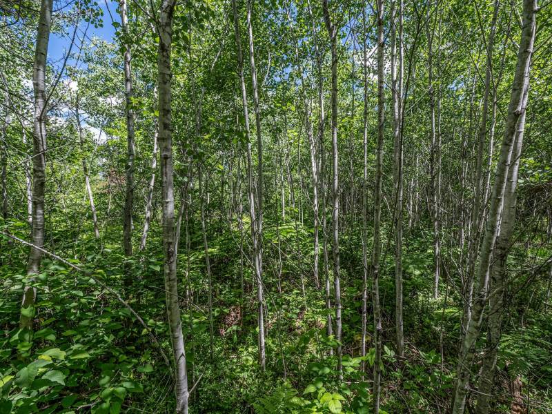 Lot 7 Off Deerskin Rd, , Eagle River,  WI 54521