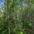 Lot 7 Off Deerskin Rd, , Eagle River,  WI 54521