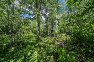 Lot 7 Off Deerskin Rd, , Eagle River,  WI 54521