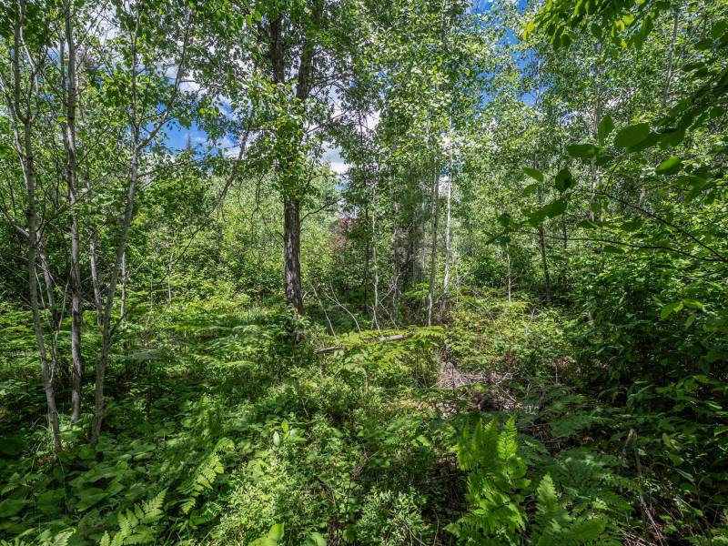 Lot 7 Off Deerskin Rd, , Eagle River,  WI 54521