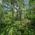 Lot 7 Off Deerskin Rd, , Eagle River,  WI 54521