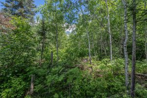 Lot 7 Off Deerskin Rd, , Eagle River,  WI 54521
