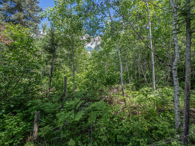 Lot 7 Off Deerskin Rd, , Eagle River,  WI 54521