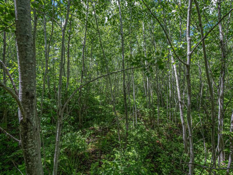 Lot 7 Off Deerskin Rd, , Eagle River,  WI 54521