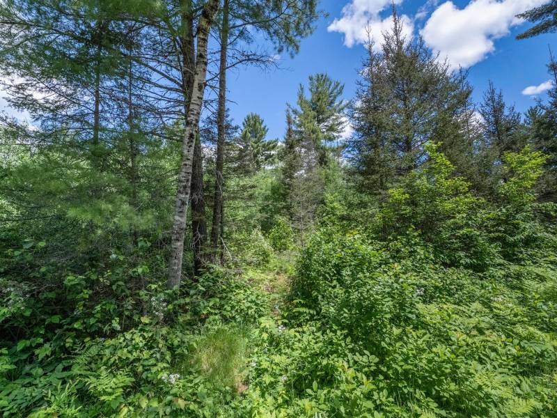 Lot 7 Off Deerskin Rd, , Eagle River,  WI 54521