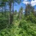 Lot 7 Off Deerskin Rd, , Eagle River,  WI 54521
