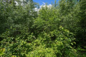 Lot 7 Off Deerskin Rd, , Eagle River,  WI 54521