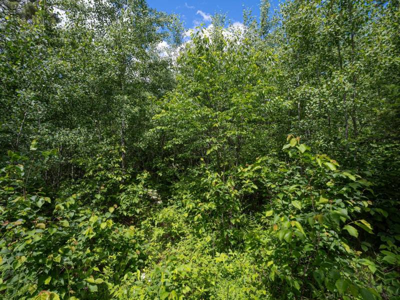 Lot 7 Off Deerskin Rd, , Eagle River,  WI 54521