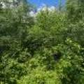 Lot 7 Off Deerskin Rd, , Eagle River,  WI 54521