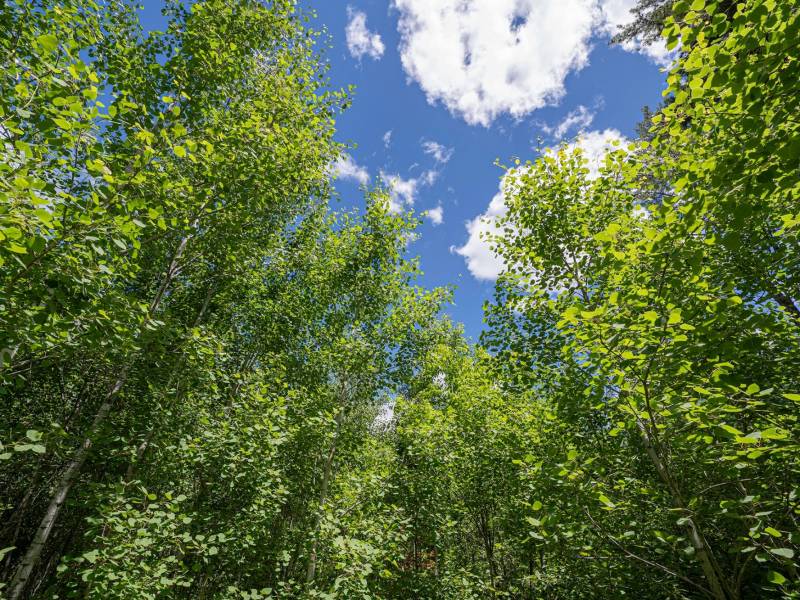 Lot 7 Off Deerskin Rd, , Eagle River,  WI 54521