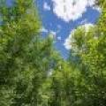 Lot 7 Off Deerskin Rd, , Eagle River,  WI 54521