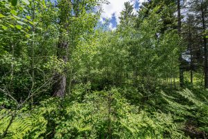 Lot 7 Off Deerskin Rd, , Eagle River,  WI 54521