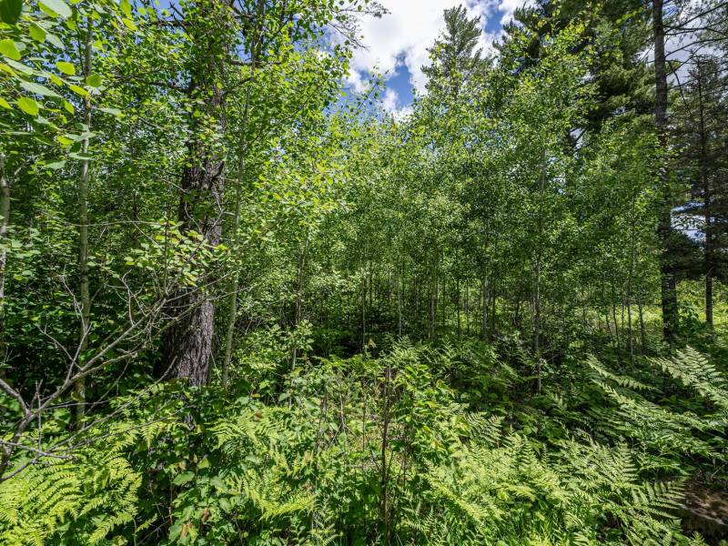 Lot 7 Off Deerskin Rd, , Eagle River,  WI 54521