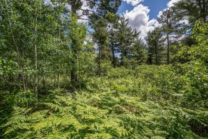 Lot 7 Off Deerskin Rd, , Eagle River,  WI 54521
