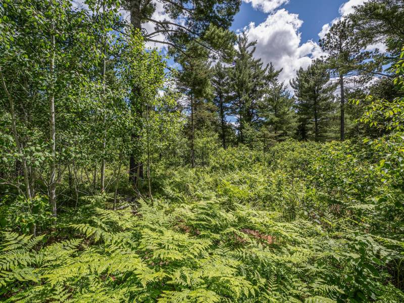Lot 7 Off Deerskin Rd, , Eagle River,  WI 54521