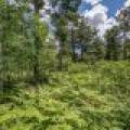 Lot 7 Off Deerskin Rd, , Eagle River,  WI 54521